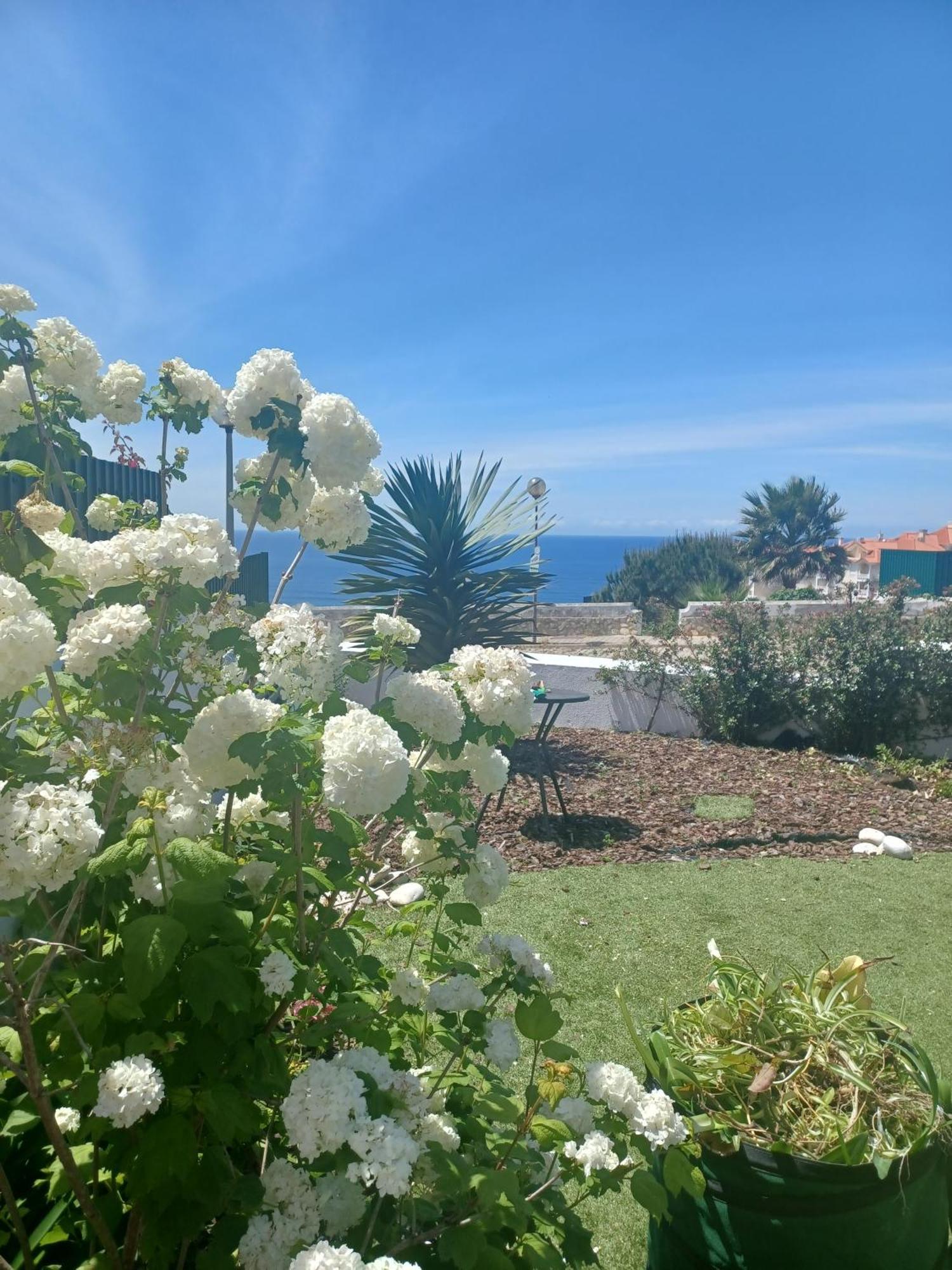 Ericeira Su Villa'S Eksteriør bilde