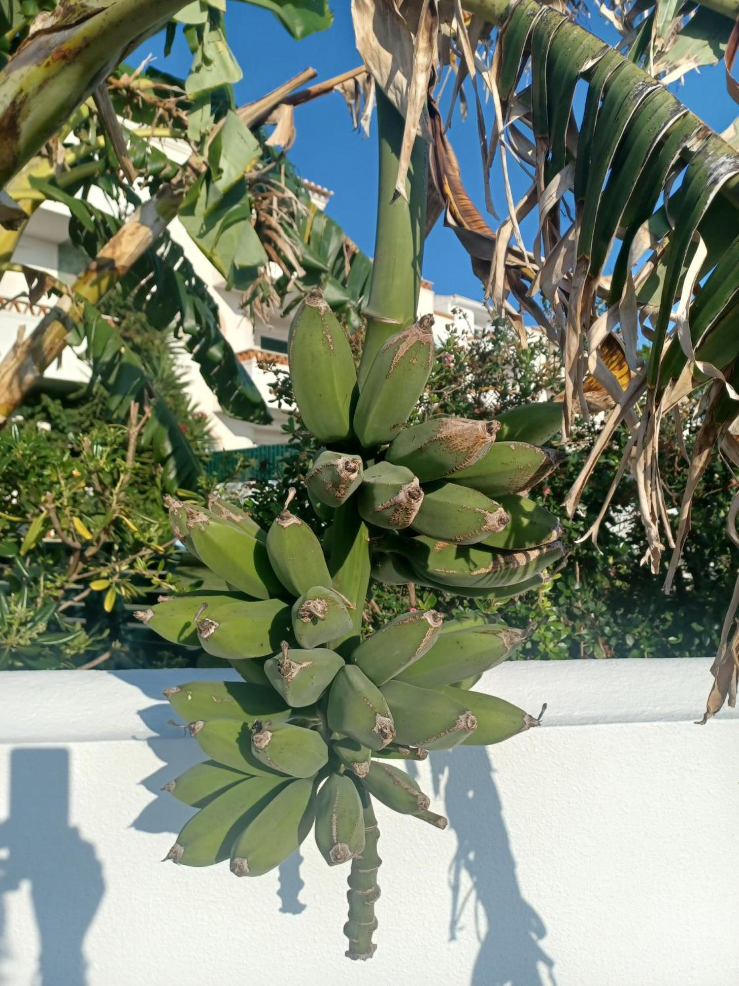 Ericeira Su Villa'S Eksteriør bilde