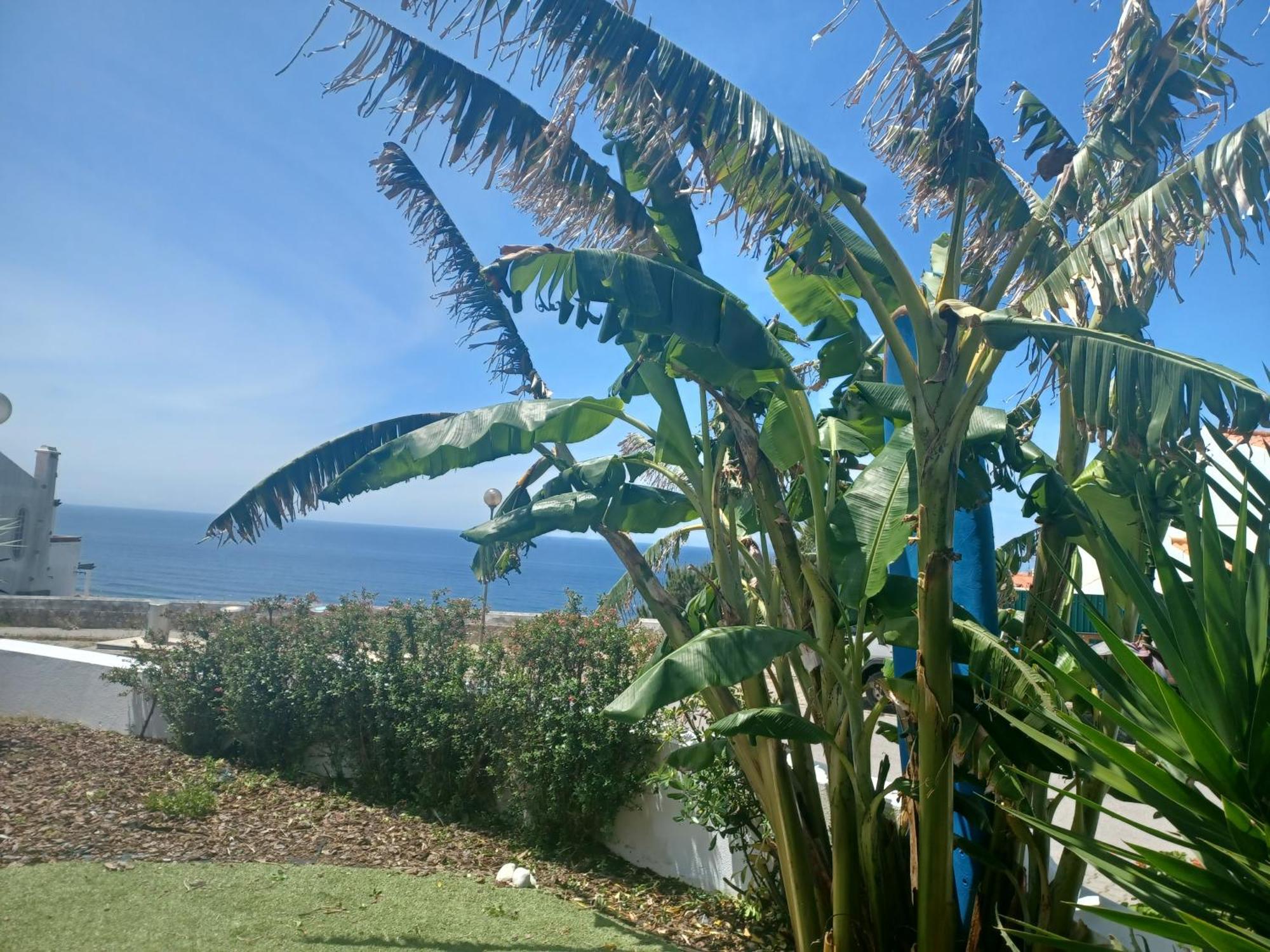 Ericeira Su Villa'S Eksteriør bilde