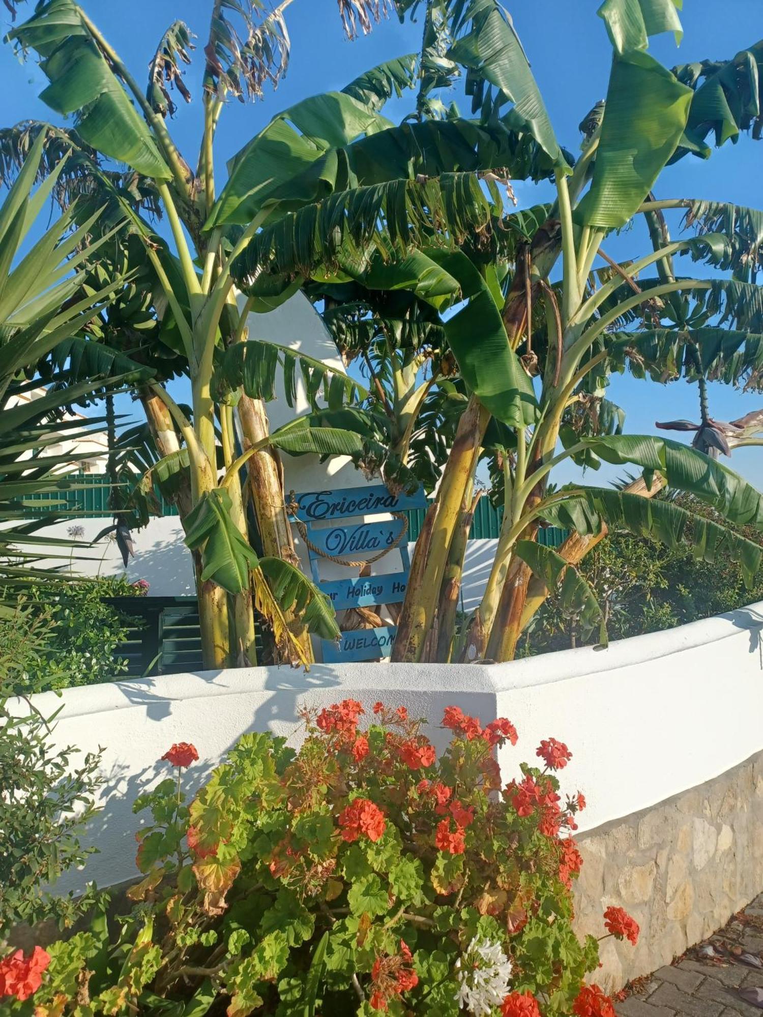 Ericeira Su Villa'S Eksteriør bilde