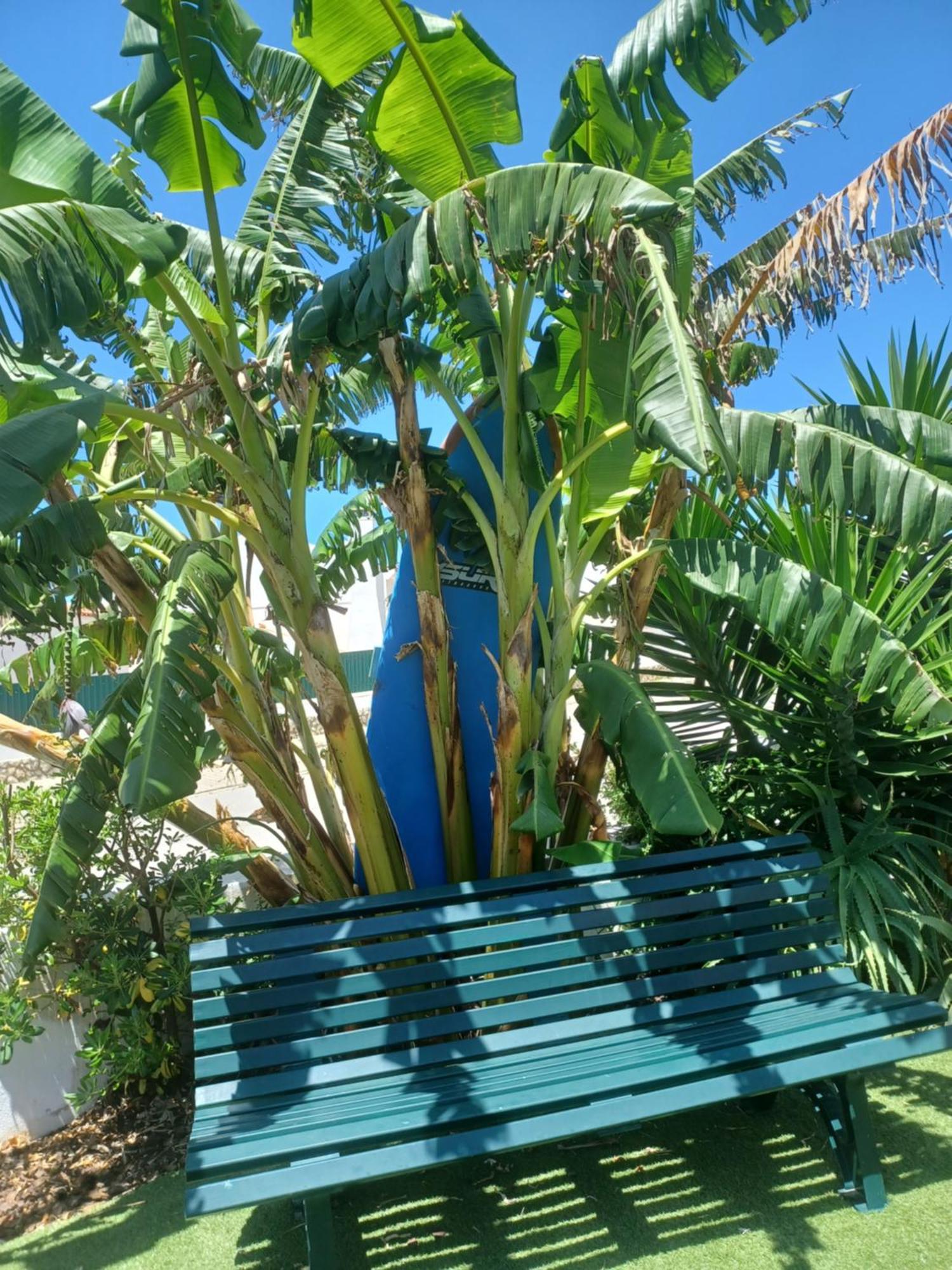 Ericeira Su Villa'S Eksteriør bilde