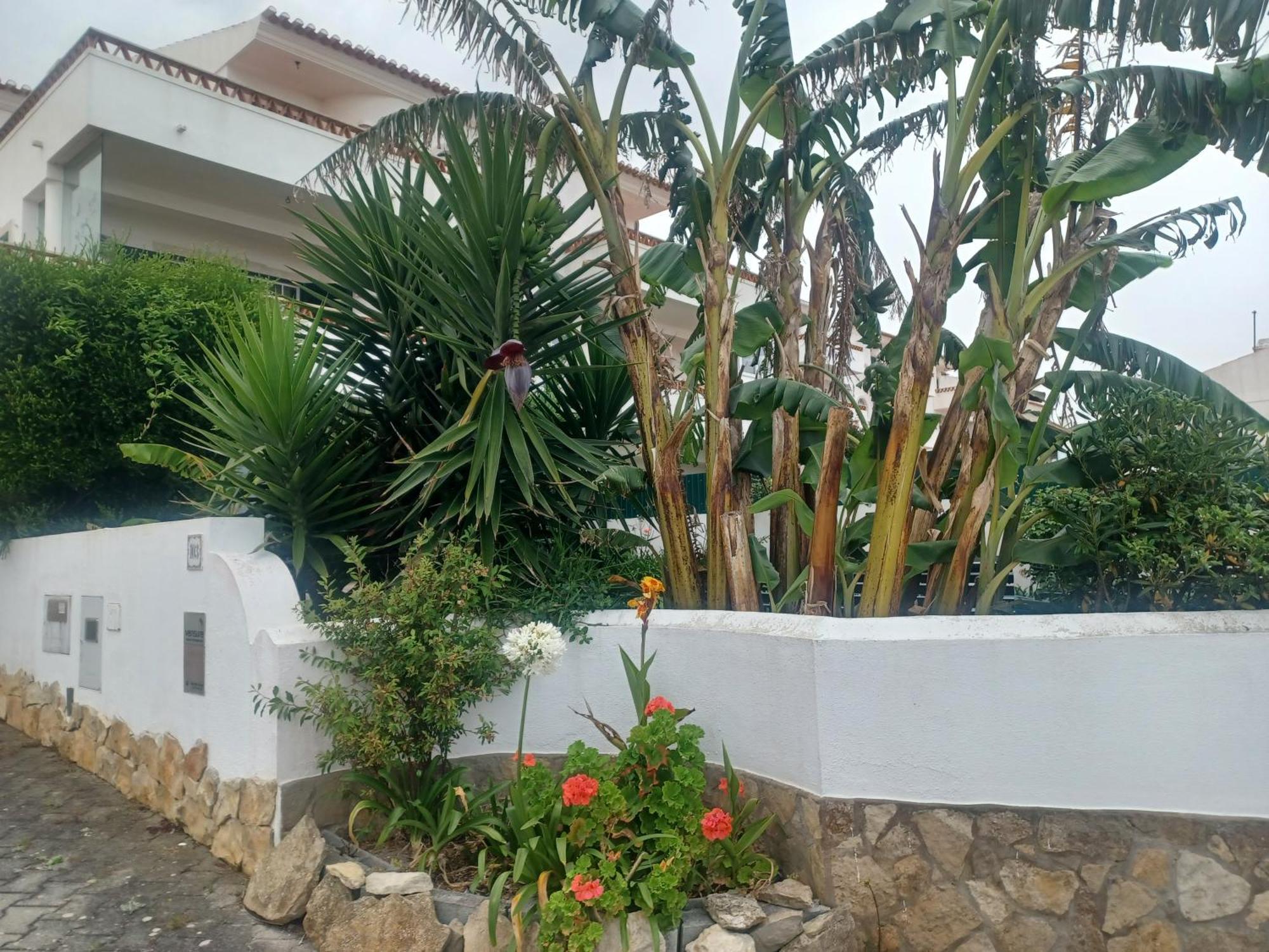 Ericeira Su Villa'S Eksteriør bilde